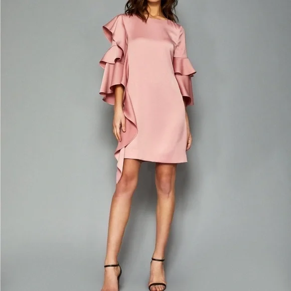 Ted Baker Pink Eicio Ruffle Ruffle Tunic Dress - Picture 9 of 15